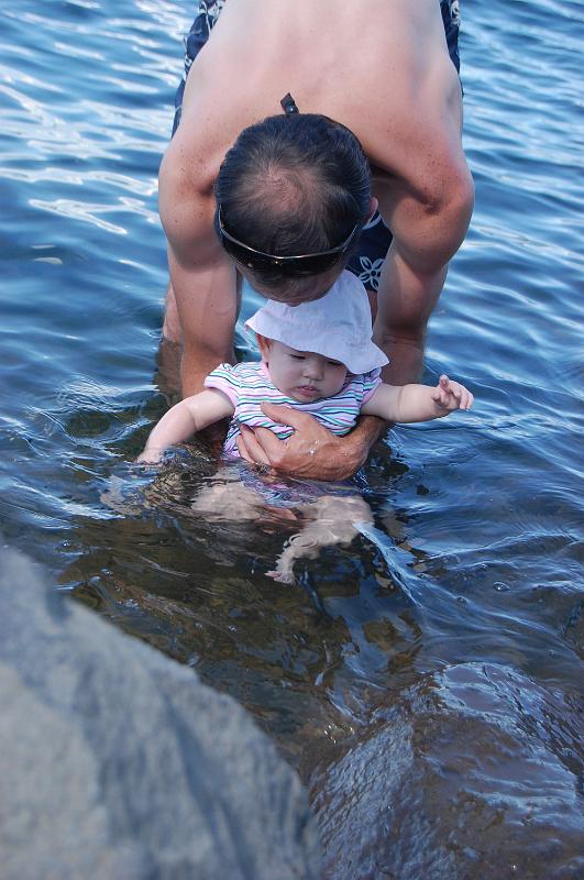 dsc_3556.jpg - in Lake Almanor, she didn't dislike it, and she liked to grab at the water, but seemed a little overwhelmed-5 months